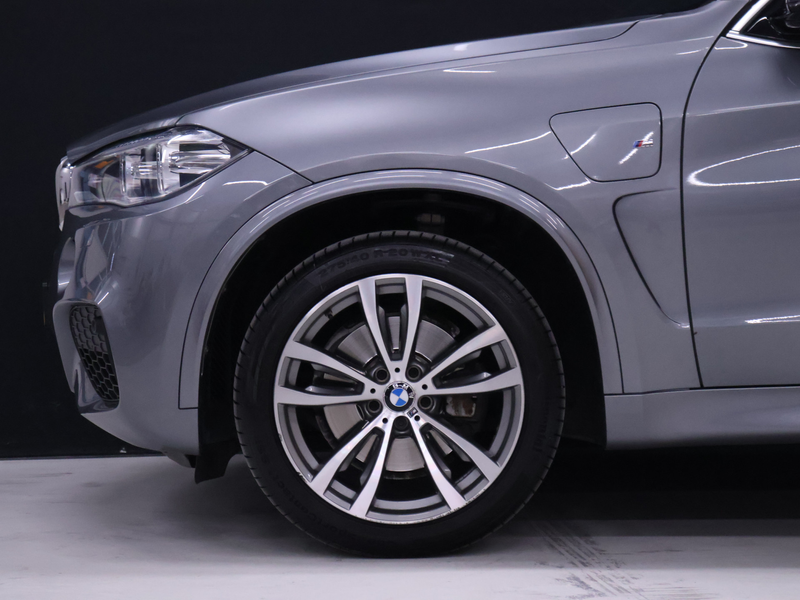 BMW X5 xDrive40e iPerformance High Executive M Sport [TRE — photo 30