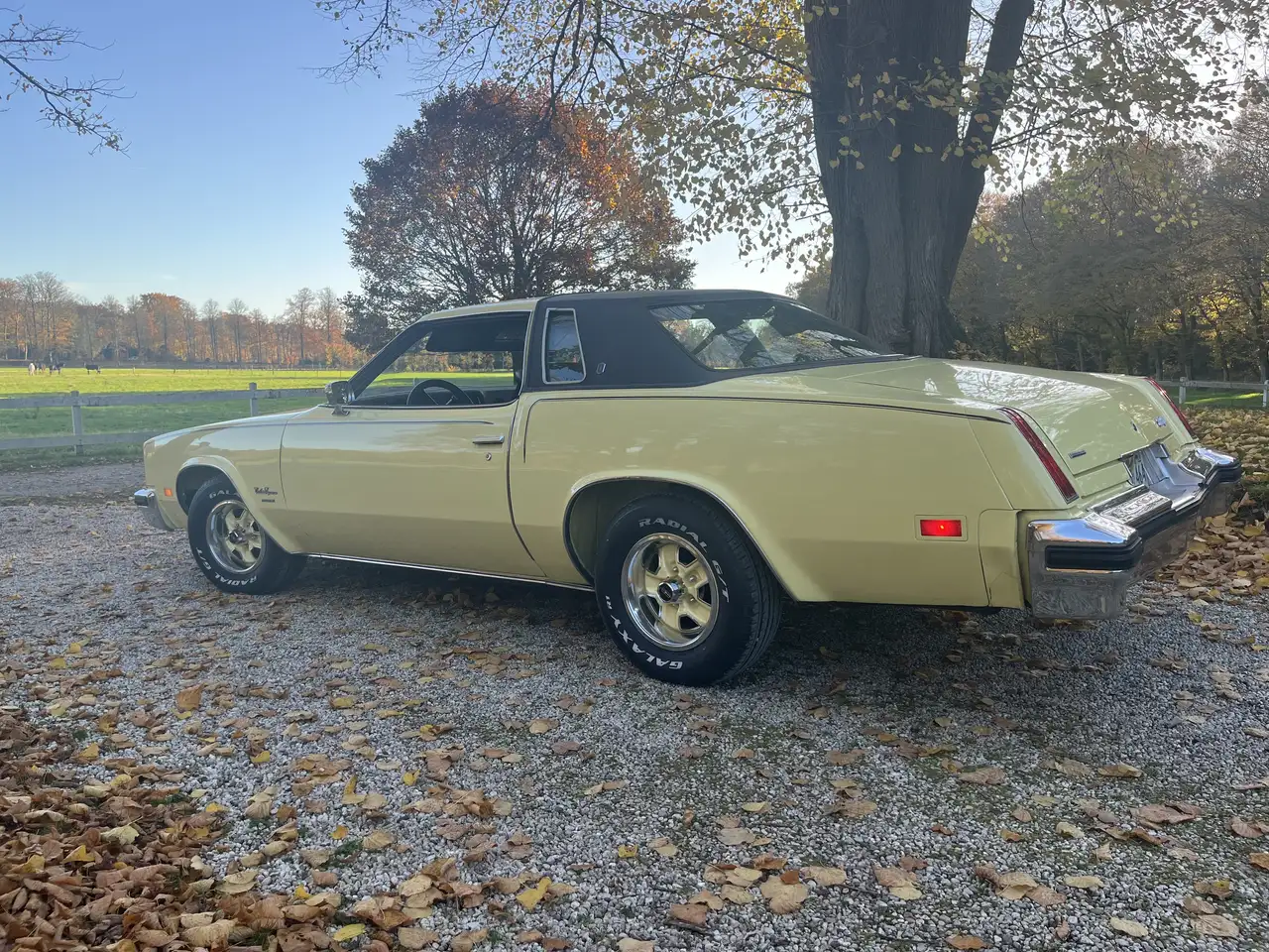Oldsmobile Cutlass Supreme Brougham 5.7 V8, foto 6