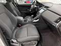 Jaguar E-Pace 2.0D I4 S AWD Aut. 150 Bianco - thumbnail 6