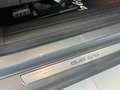 Audi A6 allroad 2.7 V6 tdi tiptronic F.A.P. 179Cv Gri - thumbnail 13