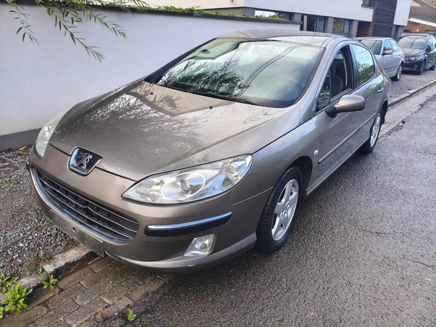 Peugeot 407 - 1