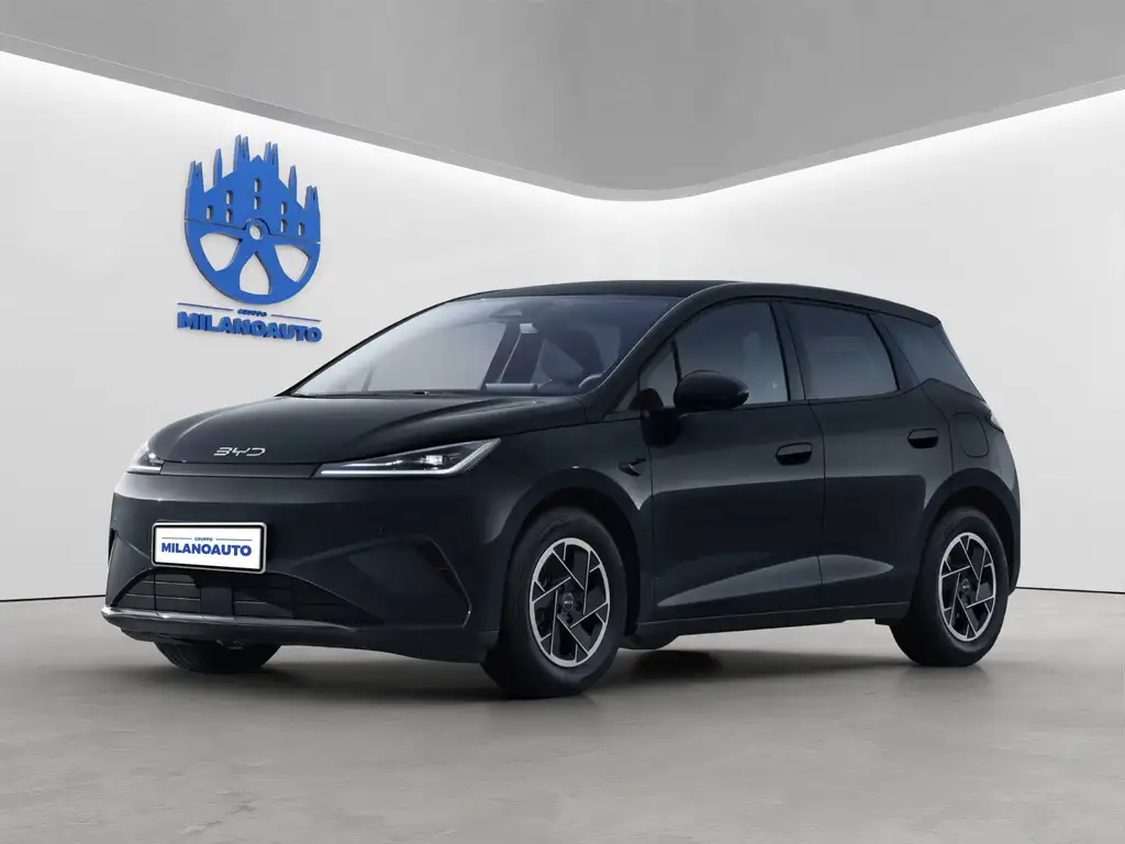 BYD Dolphin G
