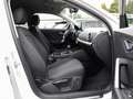 Audi Q2 35 TFSI Advanced AHK Smartph. Interf. Privacy Weiß - thumbnail 6