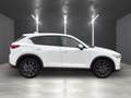 Mazda CX-5 Sports-Line AWD *Leder*Navi*LED* Weiß - thumbnail 6