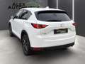 Mazda CX-5 Sports-Line AWD *Leder*Navi*LED* Weiß - thumbnail 10