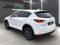 Mazda CX-5 Sports-Line AWD *Leder*Navi*LED* Weiß - thumbnail 11