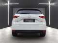 Mazda CX-5 Sports-Line AWD *Leder*Navi*LED* Weiß - thumbnail 9