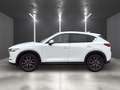 Mazda CX-5 Sports-Line AWD *Leder*Navi*LED* Weiß - thumbnail 12
