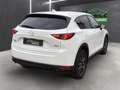 Mazda CX-5 Sports-Line AWD *Leder*Navi*LED* Weiß - thumbnail 7