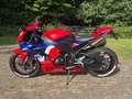 Honda CBR 1000 Honda CBR1000RR Fireblade Rouge - thumbnail 4