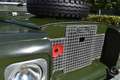 Land Rover Series Land Rover 88 Safari Grün - thumbnail 29
