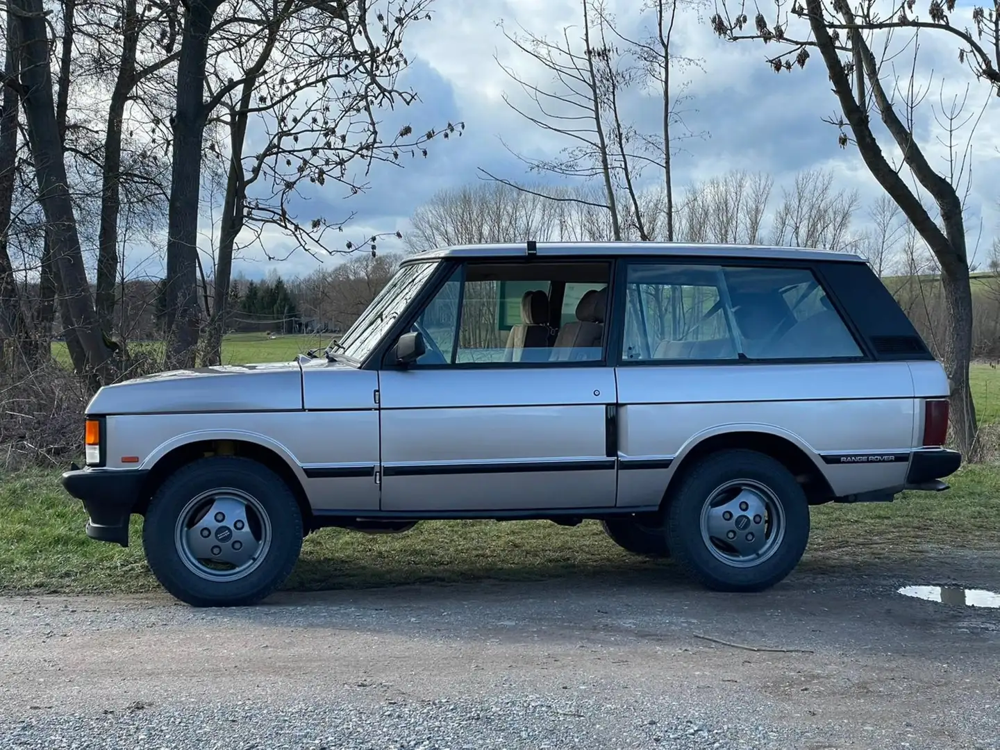 Land Rover Range Rover Range Rover 3.9 EFI EFI Gris - 2