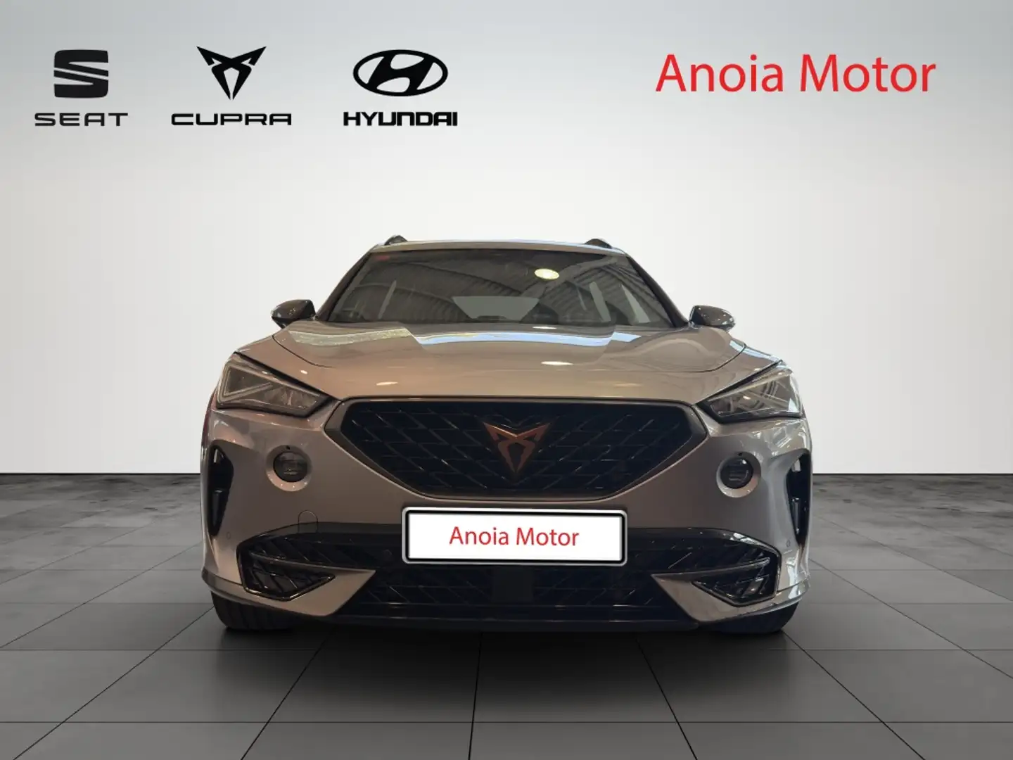 CUPRA Formentor 1.5 TSI 150 DSG Plateado - 2