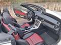 Mercedes-Benz SLC 250 SLC - R172 2016 d AMG Line auto Weiß - thumbnail 17