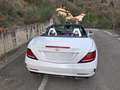 Mercedes-Benz SLC 250 SLC - R172 2016 d AMG Line auto Weiß - thumbnail 11