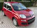 Fiat Panda Pandina 1.0 firefly hybrid s Rosso - thumbnail 2