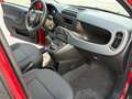 Fiat Panda Pandina 1.0 firefly hybrid s Rosso - thumbnail 11