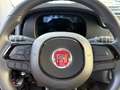 Fiat Panda Pandina 1.0 firefly hybrid s Rosso - thumbnail 6