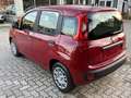 Fiat Panda Pandina 1.0 firefly hybrid s Rosso - thumbnail 4
