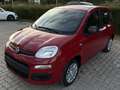 Fiat Panda Pandina 1.0 firefly hybrid s Rosso - thumbnail 1
