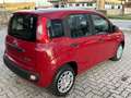 Fiat Panda Pandina 1.0 firefly hybrid s Rosso - thumbnail 3