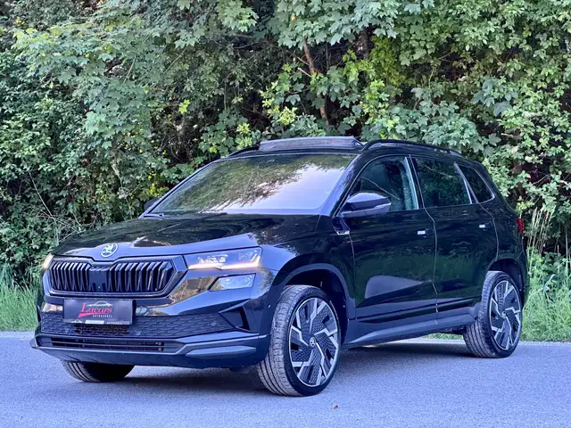 Skoda Karoq main image