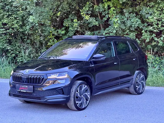 Skoda Karoq view 4