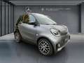 smart forTwo EQ fortwo Prime+Ambiente+LED+Exclusive+Leder Gris - thumbnail 19