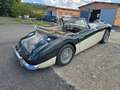 Austin-Healey 3000 MKII BJ7 - Ottime condizioni - Pelle Зелений - thumbnail 9