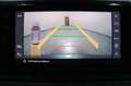 SEAT Tarraco Xcellence 4Drive DSG AHK CAM ACC VIRTUAL Grün - thumbnail 5