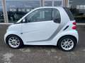 smart forTwo 1000 52 kW coupé passion Bianco - thumbnail 1