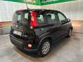 Fiat Panda Panda III 2023 1.0 firefly hybrid s Nero - thumbnail 6