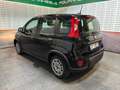 Fiat Panda Panda III 2023 1.0 firefly hybrid s Nero - thumbnail 4