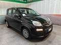 Fiat Panda Panda III 2023 1.0 firefly hybrid s Nero - thumbnail 3