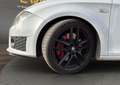 SEAT Leon cupra r 2.0 tsi 265 bvm6 sièges baquets garantie 6 mois Blanc - thumbnail 17