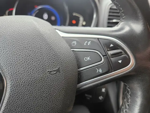 Renault Grand Scenic view 24