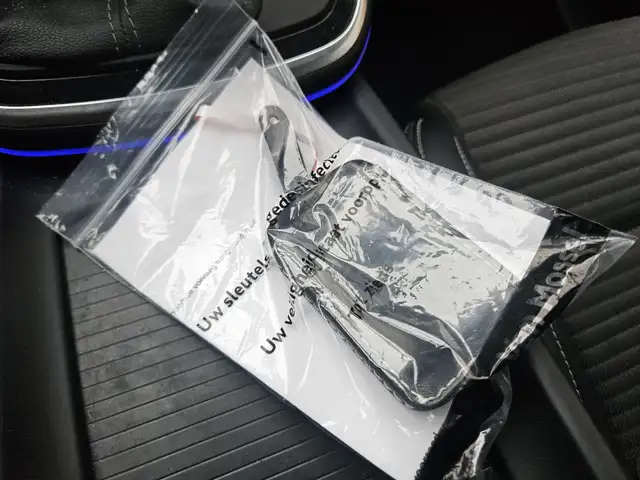 Renault Grand Scenic view 22