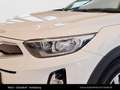 Kia Stonic /SILBER/1.2 DPI/MT5/84 Blanc - thumbnail 10