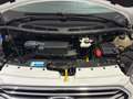 Ford Tourneo Custom 320 2.0 EcoBlue 130cv auto PC Cruise Sensori 8 P. Blanc - thumbnail 43