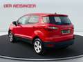 Ford EcoSport Trend 100PS Benzin Rouge - thumbnail 4