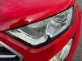 Ford EcoSport Trend 100PS Benzin Rouge - thumbnail 9