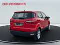 Ford EcoSport Trend 100PS Benzin Rouge - thumbnail 5