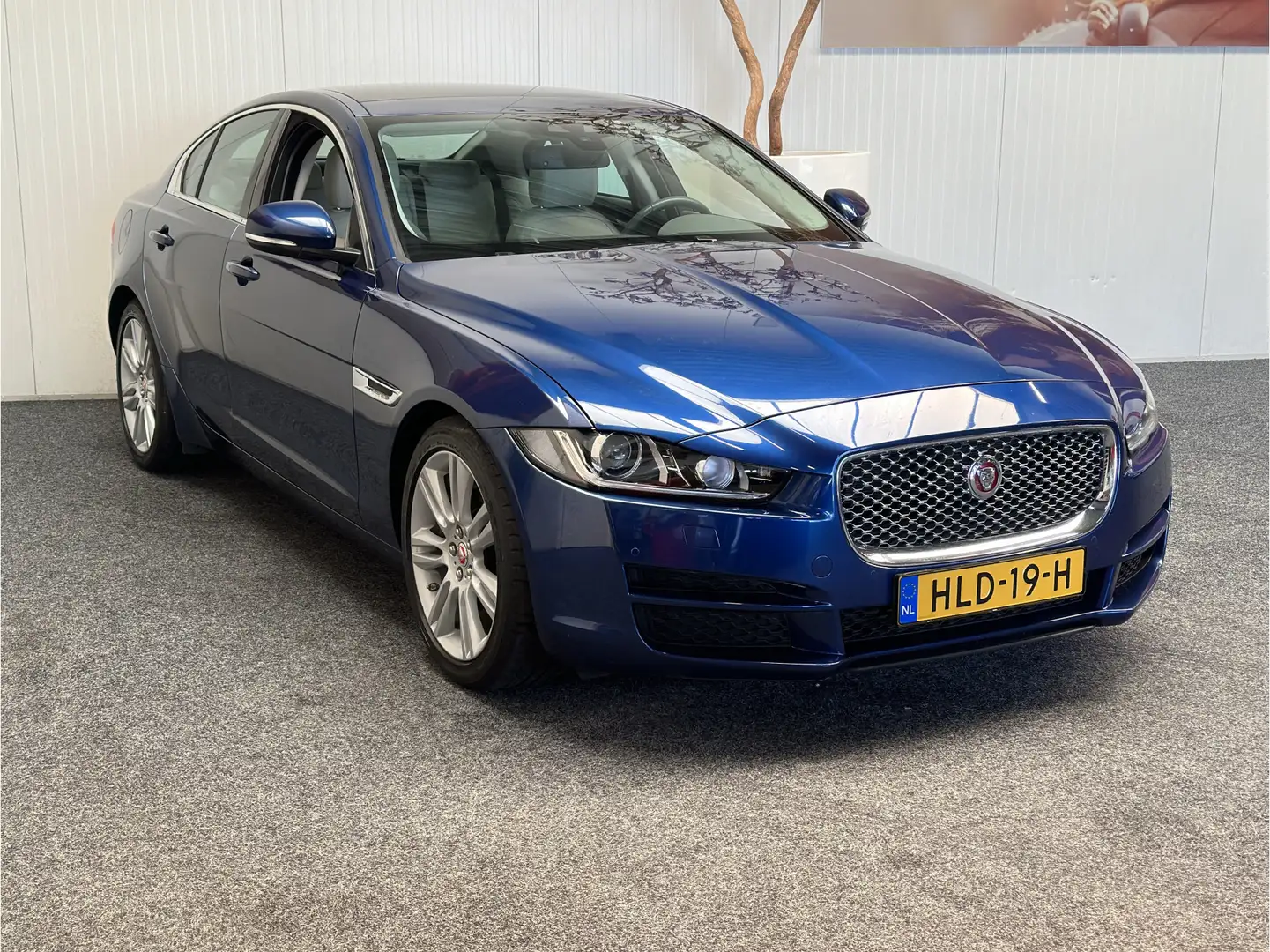 Jaguar XE 2.0 Portfolio LEDER NAVIGATIE CRUISE CONTROL GLAZE Bleu - 1