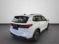 Volkswagen Tiguan 2,0 TDI DSG Life, APP, Kamera, SideAss, A Bianco - thumbnail 2