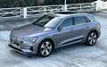 Audi e-tron 50 quattro advanced NP:102T¤ Grau - thumbnail 9
