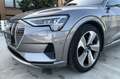 Audi e-tron 50 quattro advanced NP:102T¤ Grau - thumbnail 11