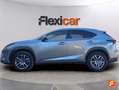 Lexus NX 300 300h Executive Navigation 4WD Gris - thumbnail 7