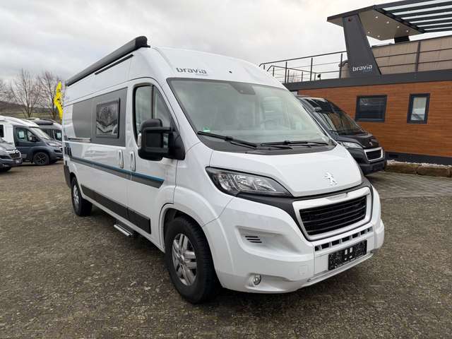 Imagine Bravia Swan 599