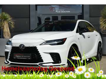 F Sport Line 371pk Panoramadak/Trekhaak/MarkLevins