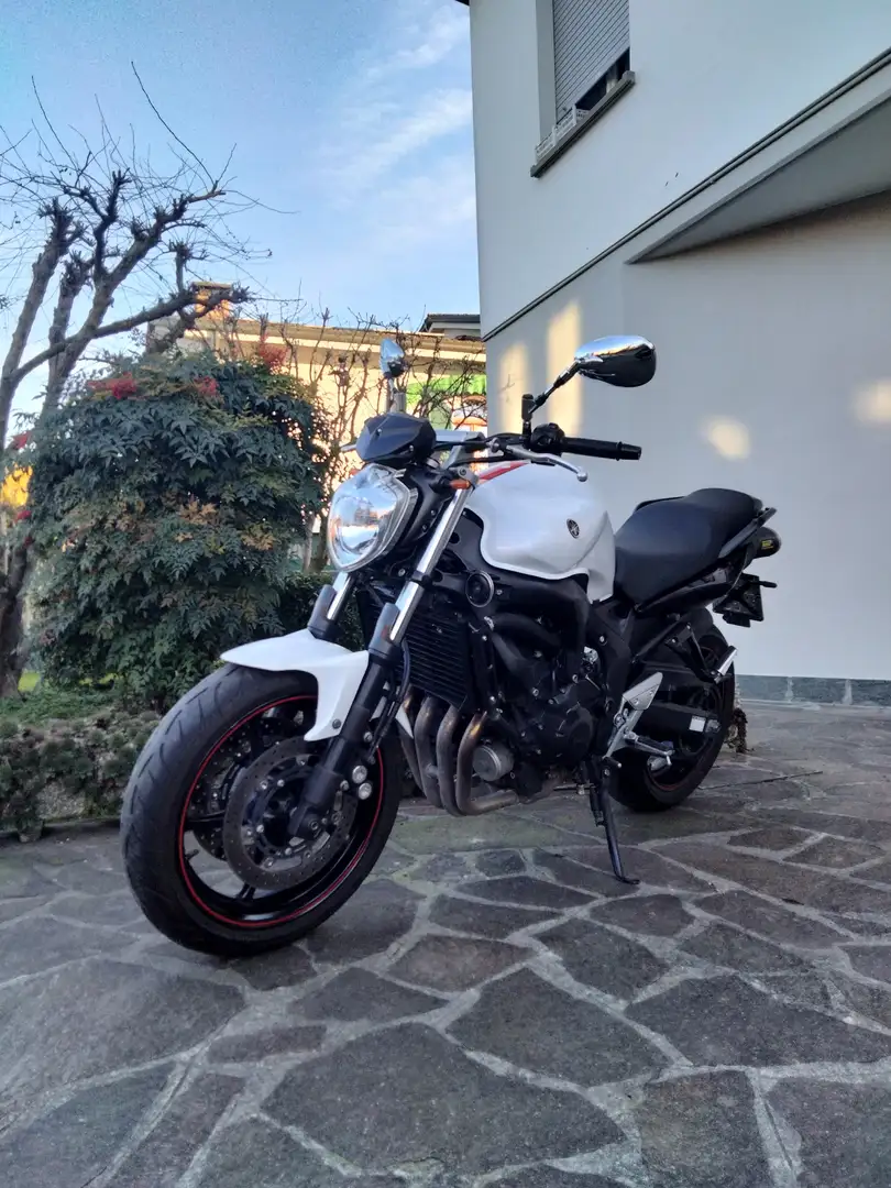 Yamaha FZ 6 S2 - 1